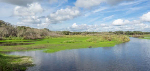 الفرق بين السهول الساحلية والفيضية