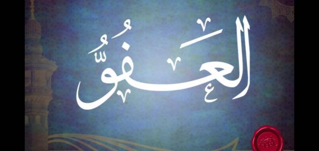 الفرق بين العفو والمغفرة الفرق بين العفو والمغفرة