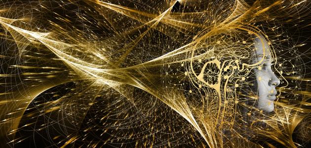 الفرق بين الكاتيون والأنيون