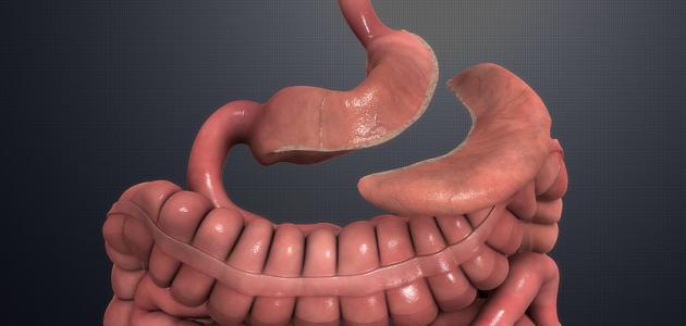 الفرق بين تدبيس المعدة والتكميم الفرق بين تدبيس المعدة والتكميم