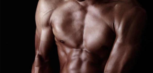 القوة العضلية القوة العضلية