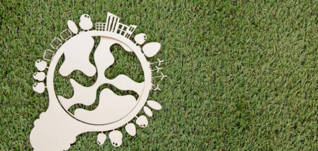 المحافظة على نظافة البيئة المحافظة على نظافة البيئة