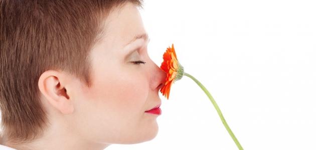 انسداد الأنف انسداد الأنف