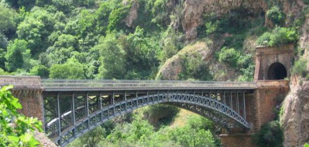 بحث حول مدينة تلمسان