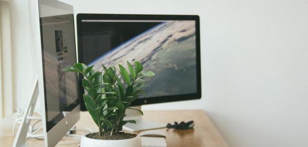 بحث عن أنواع شاشات الكمبيوتر بحث عن أنواع شاشات الكمبيوتر