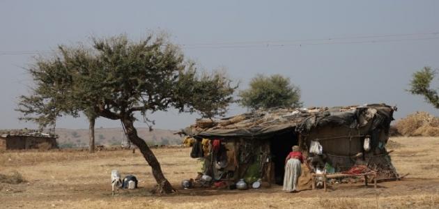 بحث عن الفقر بحث عن الفقر