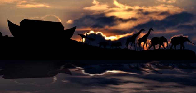 بحث عن سيدنا نوح عليه السلام بحث عن سيدنا نوح عليه السلام