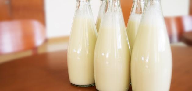 بحث عن صناعة الألبان