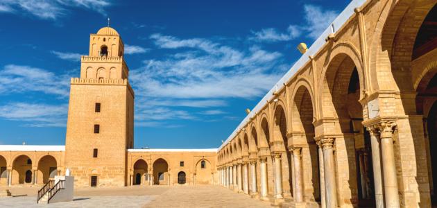 بحث عن عقبة بن نافع بحث عن عقبة بن نافع