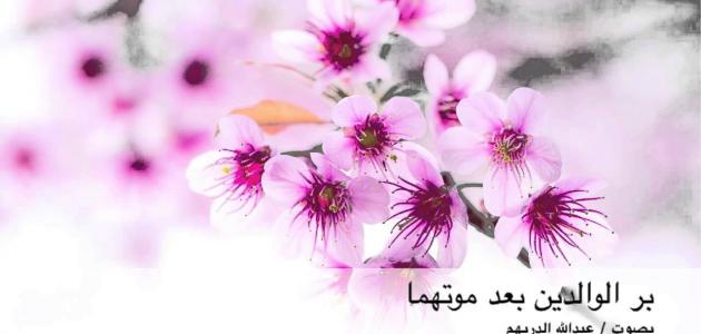 بر الوالدين بعد موتهما وفضله