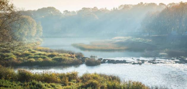 بماذا تشتهر الغابون؟