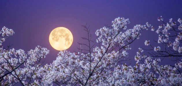 تأثير اكتمال البدر على الإنسان