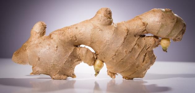 تحضير الزنجبيل تحضير الزنجبيل