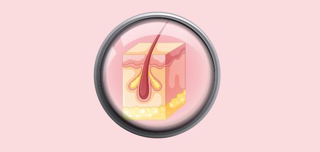 تحفيز نمو بصيلات الشعر