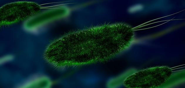 تحليل جرثومة المعدة بالدم