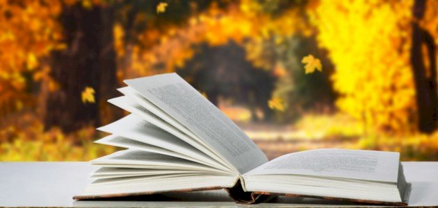 تحليل رواية اللص والكلاب تحليل رواية اللص والكلاب