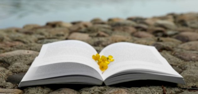 تحليل رواية ثرثرة فوق النيل تحليل رواية ثرثرة فوق النيل