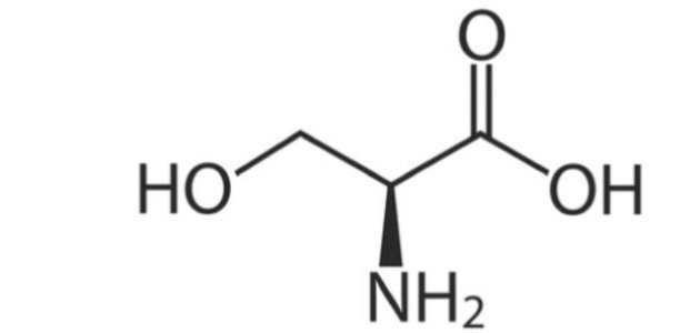 تركيب الأحماض الأمينية تركيب الأحماض الأمينية