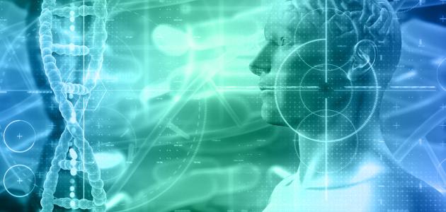 تصنيف الإنسان في علم الأحياء تصنيف الإنسان في علم الأحياء