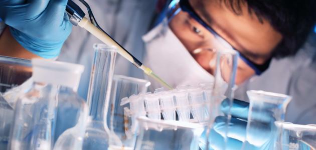 تطبيقات الهندسة الوراثية تطبيقات الهندسة الوراثية