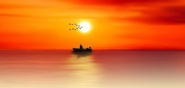 تعريف التقوى