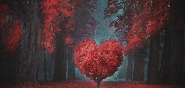 تعريف الحب : ما هو الحب