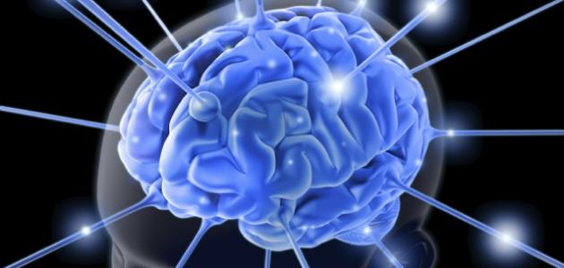 تعريف الخريطة الذهنية تعريف الخريطة الذهنية