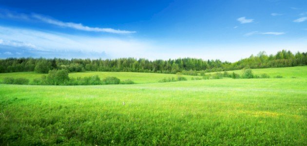 تعريف السهول