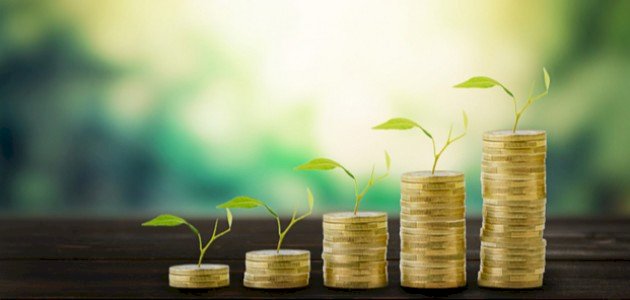 تعريف القروض الاستثمارية