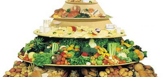 تعريف الهرم الغذائي