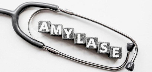 تعريف انزيم الاميليز تعريف انزيم الاميليز