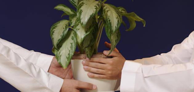 تعريف خدمة المجتمع