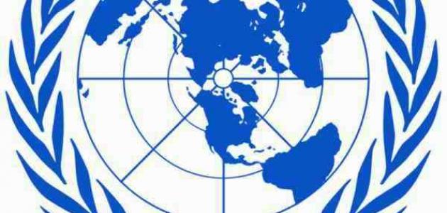 تعريف هيئة الأمم المتحدة تعريف هيئة الأمم المتحدة