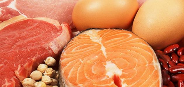 تغذية كمال الأجسام تغذية كمال الأجسام