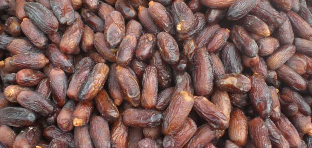 تفسير حلم تمر تفسير حلم تمر