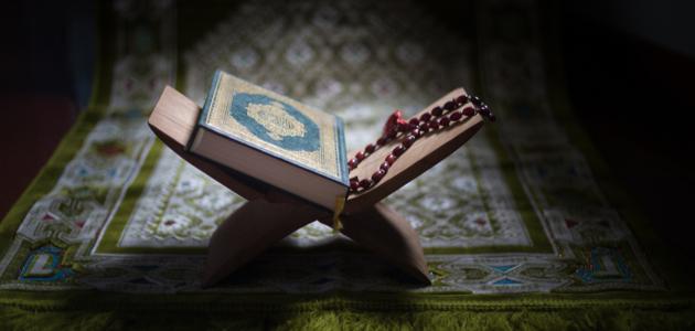 تفسير سورة المسد تفسير سورة المسد