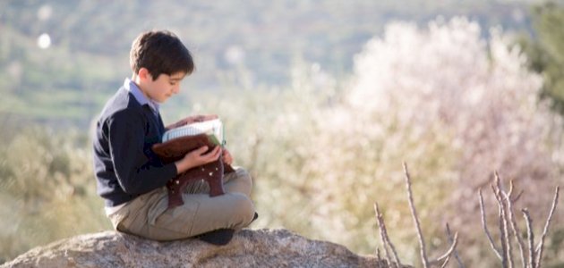 تفسير سورة النجم