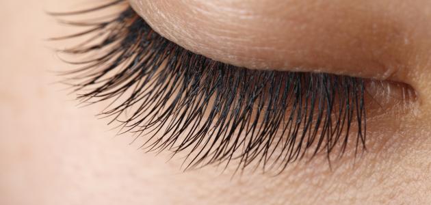 تكثيف الرموش و تطويلها تكثيف الرموش و تطويلها