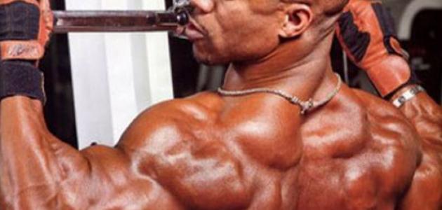 تمارين الضخامة