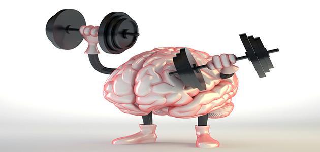 تمارين العقل تمارين العقل