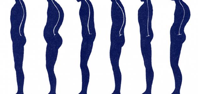 تمارين تقوس الظهر تمارين تقوس الظهر