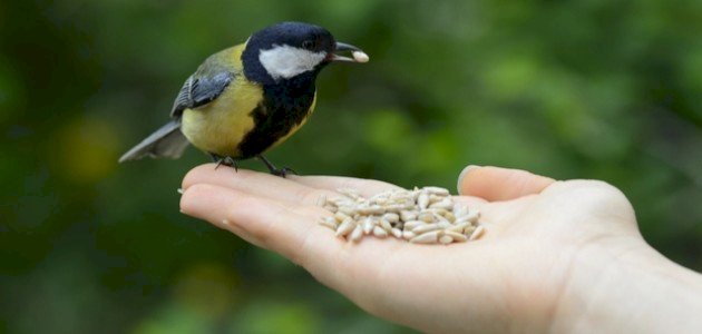 ثواب عمل الخير ثواب عمل الخير
