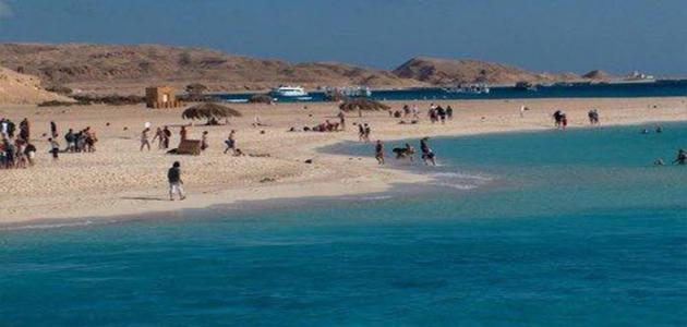 جزيرة جفتون جزيرة جفتون