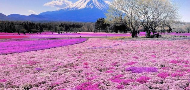 جزيرة هوكايدو جزيرة هوكايدو