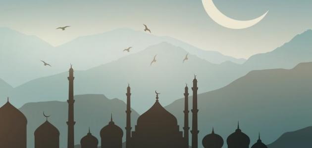 جهاد سعيد بن زيد جهاد سعيد بن زيد