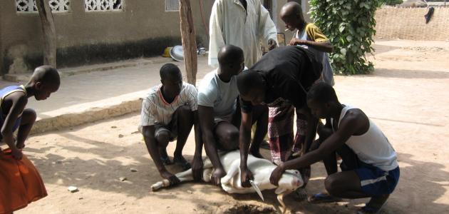 حديث عن عيد الأضحى حديث عن عيد الأضحى