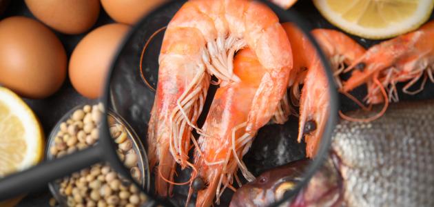 حساسية الروبيان حساسية الروبيان