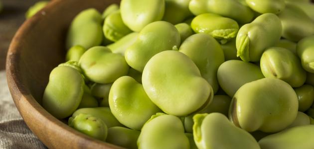 حساسية الفول