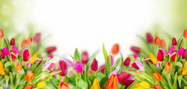 حكم رائعه وقصيره حكم رائعه وقصيره