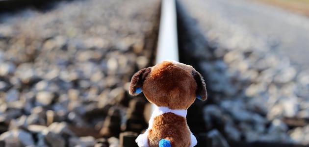 حكم عن عدم الاهتمام